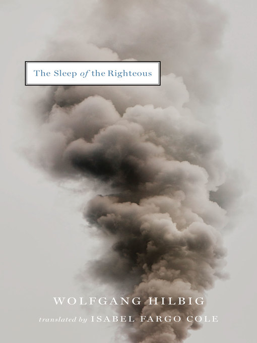 Cover image for The Sleep of the Righteous
